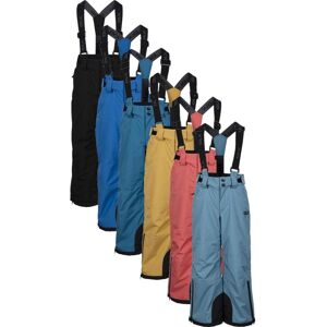 Trespass Benito- Kids Dlx Ski Pants  / Bukser / Buks Bondi Blue 2/3