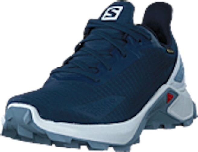 Salomon Alphacross Blast Gtx Dark Denim/white/ashely Blue, shoes, blå, UK 9,5