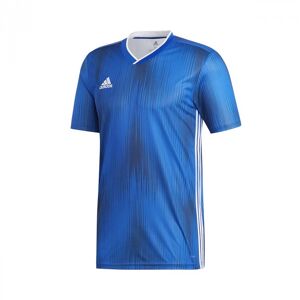 Adidas - Camiseta Tiro 19 m/c, Unisex, Bold Blue-White, XS