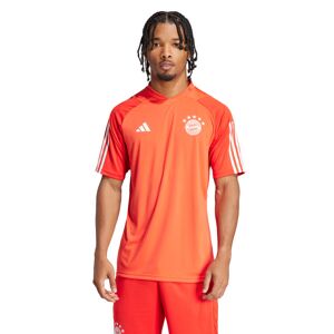 Adidas - Camiseta FC Bayern Training 2023-2024, Unisex, Red-Bright Red-White, M
