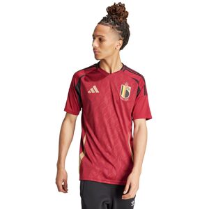 Adidas - Camiseta Bélgica Primera Equipación Eurocopa 2024, Unisex, Team Coll Burgundy, S