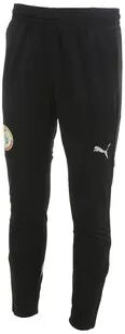 Puma FSF TRAINING 1/4 - PantalÃ³n de chÃ¡ndal hombre black