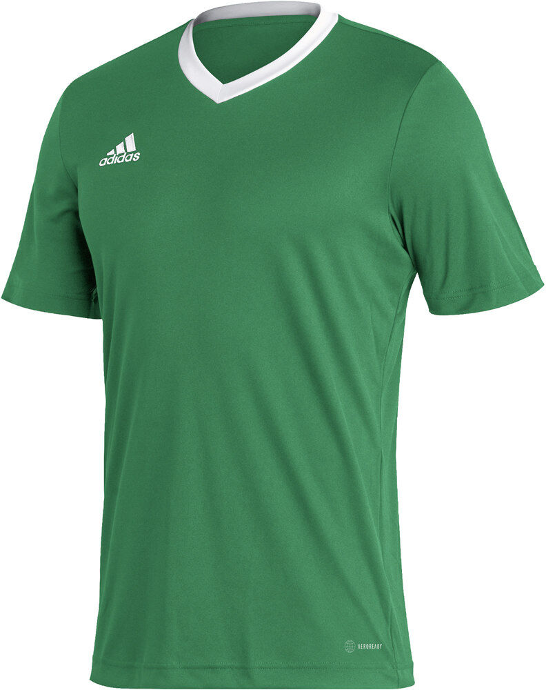 Adidas entrada 22 camisetas fútbol manga corta Verde (XL)