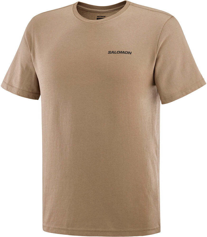 Salomon graphic perf camiseta montaña manga corta hombre Marron