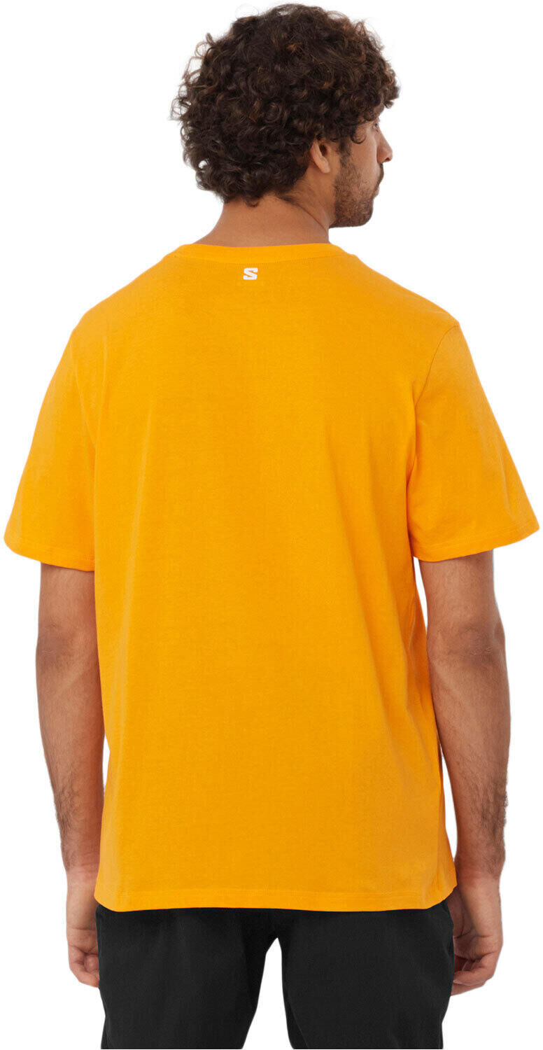 Salomon graphic camiseta montaña manga corta hombre Amarillo