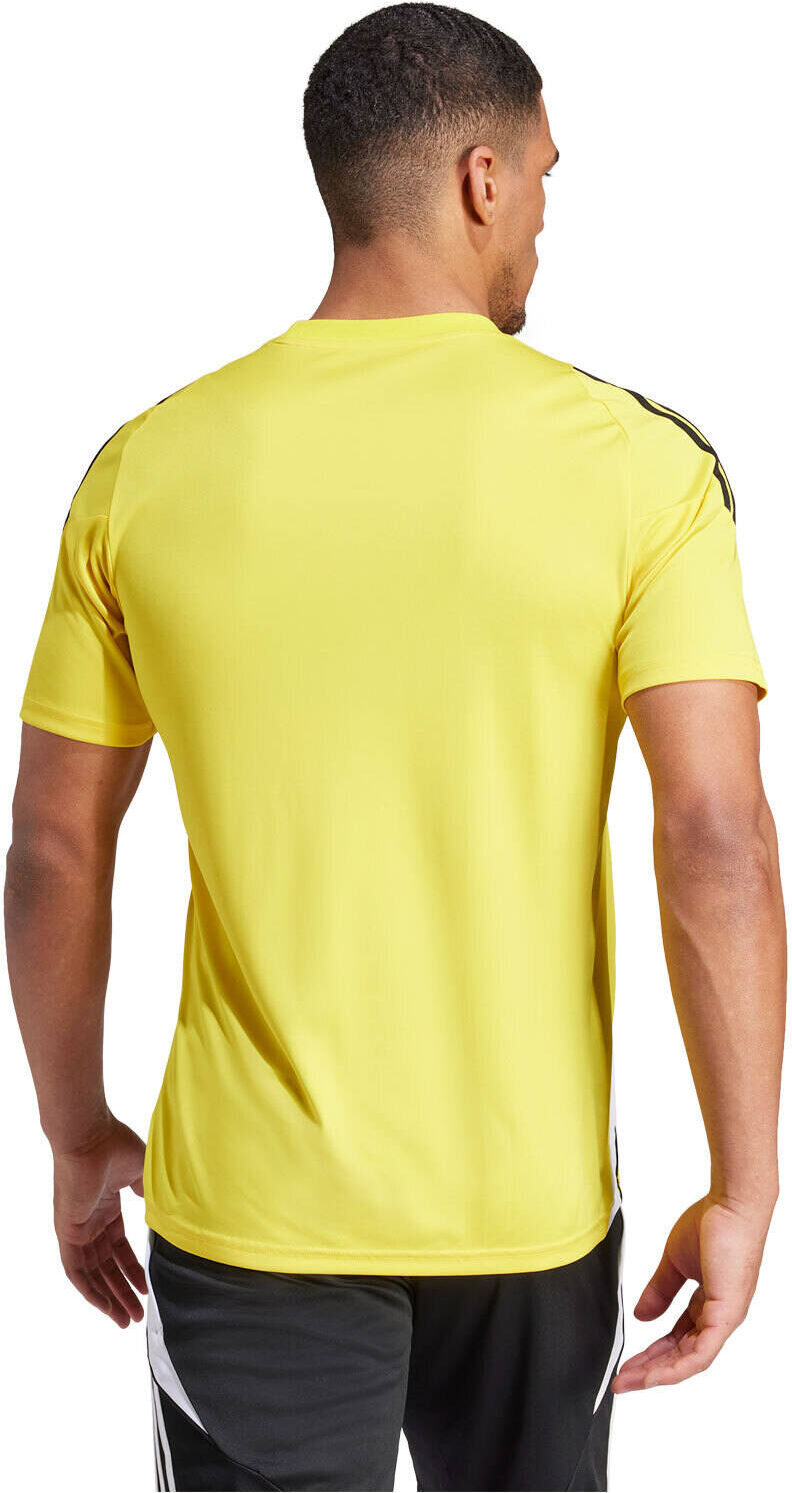 Adidas tiro24 camisetas fútbol manga corta Amarillo (XXL)