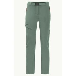 retkeilyvaatteet Jack Wolfskin Holdsteig Pants softshell-housut naisille / 42 Picnic Green