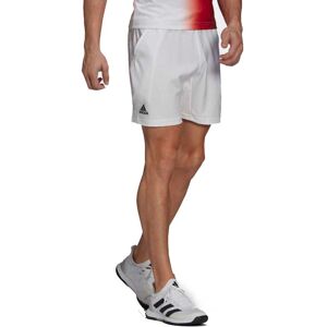 Adidas Melbourne Shorts 7'' White, L