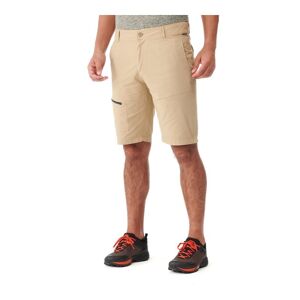 Lafuma Access Cargo - Short randonnée homme Sesame FR 38 - Publicité