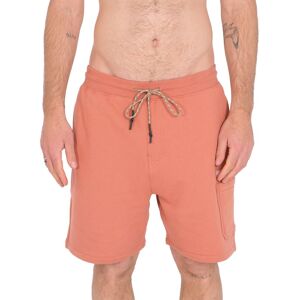 Exp Ranger Sweat Shorts Orange S Homme Orange S male