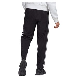 Adidas Stanford O Pants Noir S / Short Homme Noir S male