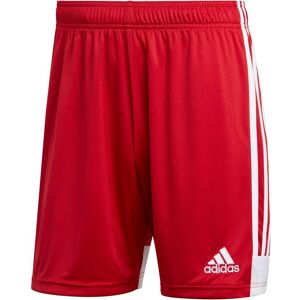 adidas Pantaloncini Calcio Shorts UOMO TASTIGO 19 Rosso Poliestere Aeroready