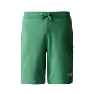 The North Face Pantaloncini Shorts UOMO Verde Deep GRAPHIC LIGHT