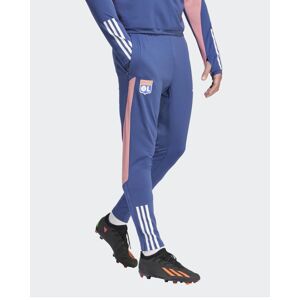 adidas Lione OL Lyon Olympique Pantaloni tuta Pants Blu UOMO 2023 24 Training