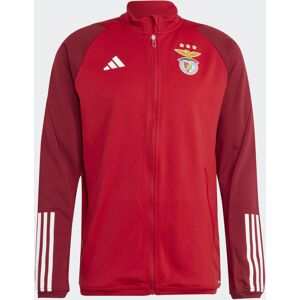 adidas Benfica Giacca tuta allenamento UOMO Rosso 2023 24 Training