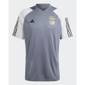 adidas Benfica Maglia Allenamento Training UOMO Grigio Tiro 23 2023 24