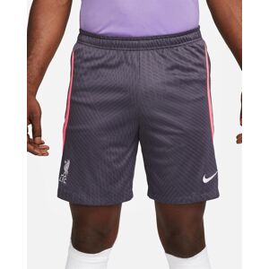 Nike Liverpool Fc Pantaloncini Shorts Antracite Dry Strike Training 2023 24