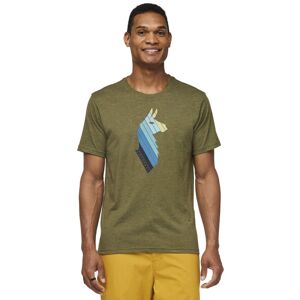 Cotopaxi Llama Stripes Organic - T-Shirt - uomo Dark Green L