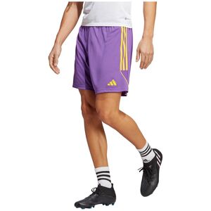 Adidas Tiro 23 Shorts Viola M Uomo