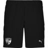 Puma Fc Ingolstadt Pantaloncini Casual - Adulto - S;2xl;3xl;m;l;xl - Nero