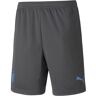 Puma Girona Fc 21/22 Trouser Grigio XL