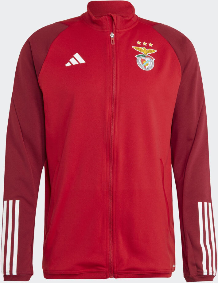 adidas Benfica Giacca tuta allenamento UOMO Rosso 2023 24 Training