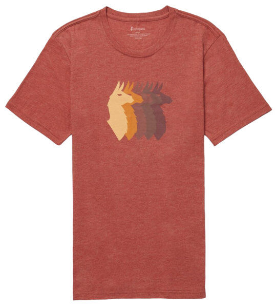 Cotopaxi Llama Sequence M - T-shirt - uomo Red L