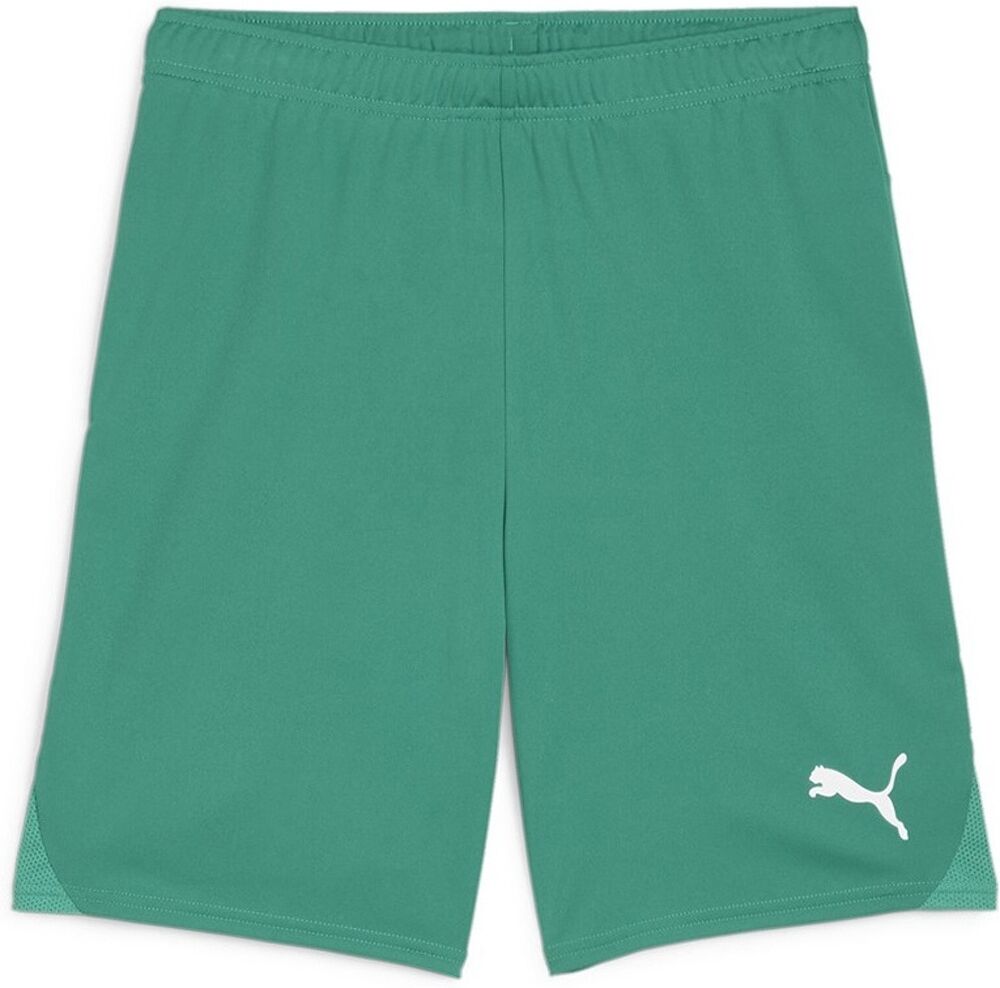 Puma Teamgoal Pantaloncini - Uomo - M;s;xl;2xl;l - Verde