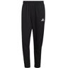 adidas heren Broek Entrada 22 Presentation Pants, Zwart, S Tall