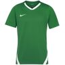 Camisola Nike Team Verde para Homens - 0900NZ-302 Verde 2XL male