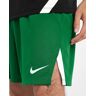Calções de voleibol Nike Team Spike Verde Homens - 0901NZ-302 Verde S male