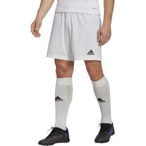 adidas ENT22 Shorts, shorts herre White