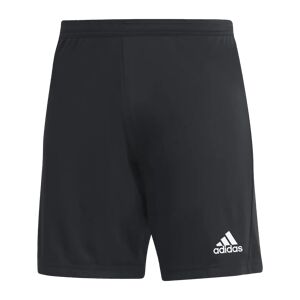 adidas ENT22 Shorts, shorts herre BLACK