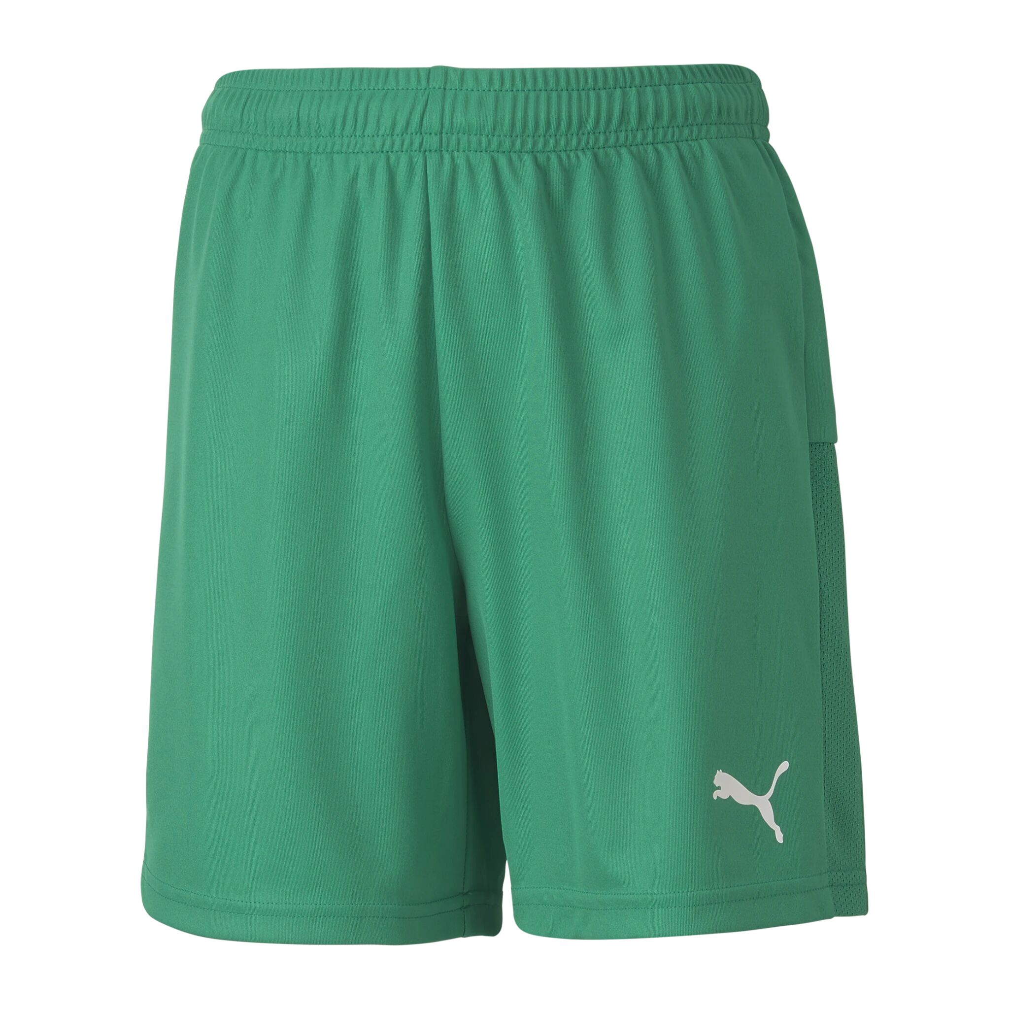 Puma teamGOAL 23 knit Shorts jr, shorts junior 140 Pepper Green