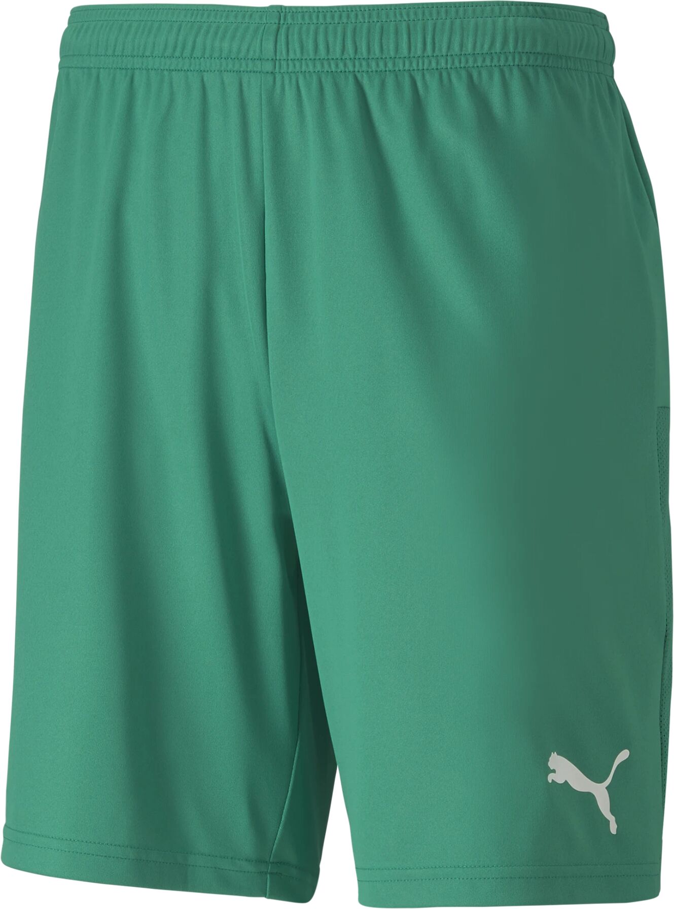 Puma teamGOAL 23 knit Shorts, shorts herre XL Pepper Green