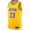 Koszulka Nike Icon NBA Los Angeles Lakers LeBron James Swingman - XXL