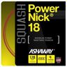 Ashaway Naciąg Do Squasha Powernick 18 - Set