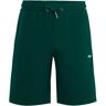 Fila BLEHEN sweat shorts