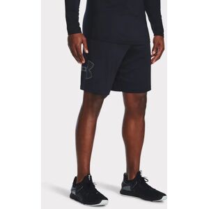 Under Armour UA Tech Graphic Shorts - Black XXL