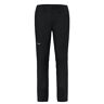 Men'S Pants Salewa Agner Orval 3 Dst M Reg Pants L M