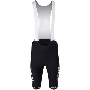 AGU TEAM VISMA-LEASE A BIKE Race 2024 Bib Shorts, for men, size S, Cycle shorts, Cycling clothing