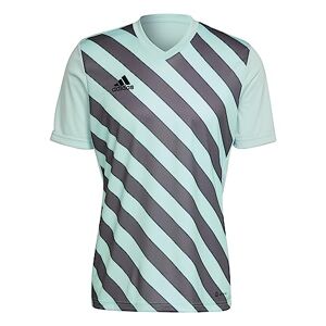 adidas HF0119 ENT22 GFX JSY T-shirt T-Shirt clear mint/team grey four S
