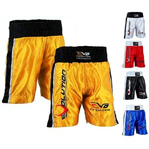 Evo Fitness EVO Men Boxing Fight Shorts MMA Kick Boxing Martial Arts Gear Muay Thai UFC (X-Large, Blue)