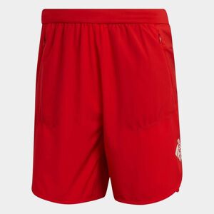 adidas Training Shorts Mens Red XS male