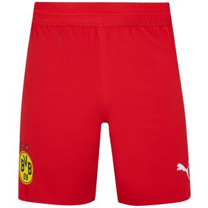 Borussia Dortmund Shorts Adults - male - Puma Red - S