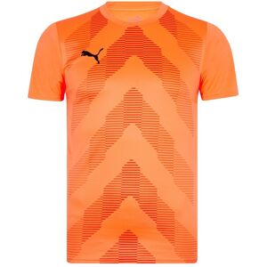 Puma Licensed Goalkeeper Jersey Replica - male - Neon Citrus - S