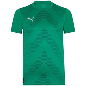 Puma Licensed Goalkeeper Jersey Replica - male - Pepper Green - XL