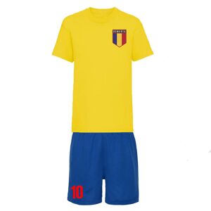 UKSoccershop Personalised Romania Training Kit - Yellow - male - Size: Medium (38-40\