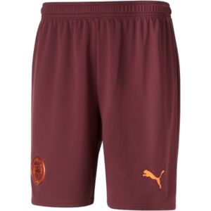 Puma 2023-2024 Man City Away Shorts (Aubergine) - Maroon - male - Size: XL Adults - 38-40\