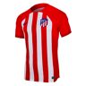 Nike 2023-2024 Atletico Madrid Home Shirt - Red - male - Size: XXXL 54-56\" Chest (136-148cm)